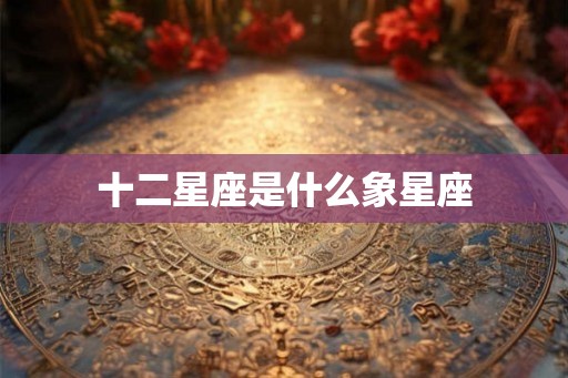 十二星座是什么象星座 十二星座是什么象星座