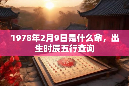 1978年2月9日是什么命,出生时辰五行查询 1978年2月9日是什么命,出生时辰五行查询