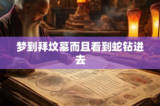 梦到拜坟墓而且看到蛇钻进去