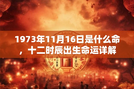 1973年11月16日是什么命，十二时辰出生命运详解