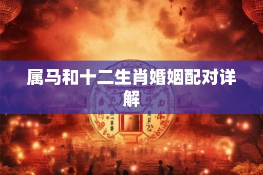 属马和十二生肖婚姻配对详解