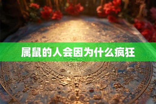 属鼠的人会因为什么疯狂 属鼠的人会因为什么疯狂