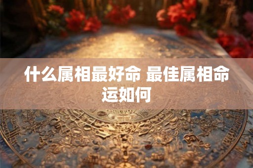 什么属相最好命 最佳属相命运如何 什么属相最好命 最佳属相命运如何