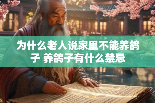 为什么老人说家里不能养鸽子 养鸽子有什么禁忌