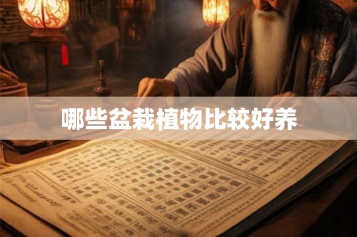 哪些盆栽植物比较好养