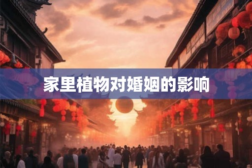 家里植物对婚姻的影响