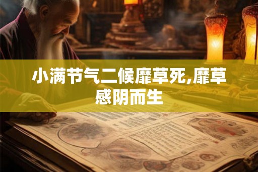 小满节气二候靡草死,靡草感阴而生