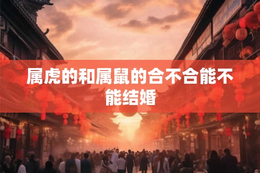 属虎的和属鼠的合不合能不能结婚