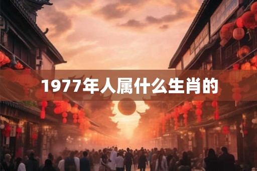 1977年人属什么生肖的