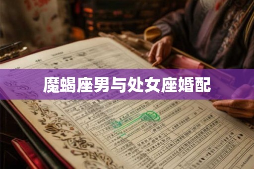 魔蝎座男与处女座婚配