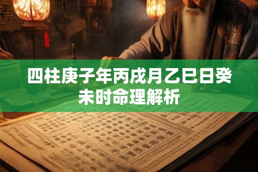 四柱庚子年丙戌月乙巳日癸未时命理解析