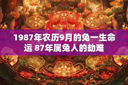 1987年农历9月的兔一生命运 87年属兔人的劫难