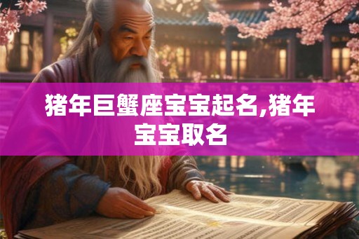 猪年巨蟹座宝宝起名,猪年宝宝取名