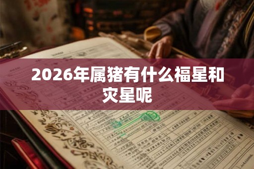 2026年属猪有什么福星和灾星呢