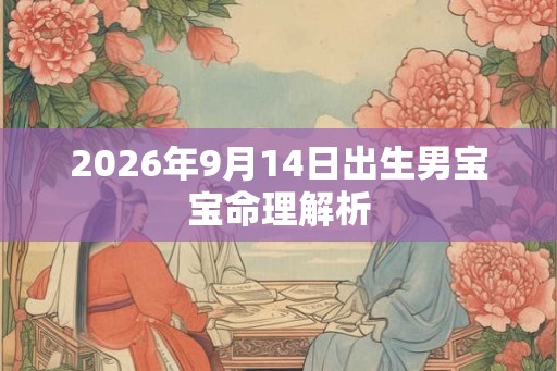 2026年9月14日出生男宝宝命理解析