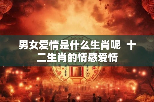 男女爱情是什么生肖呢 十二生肖的情感爱情 男女爱情是什么生肖呢 十二生肖的情感爱情