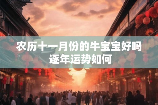 农历十一月份的牛宝宝好吗 逐年运势如何