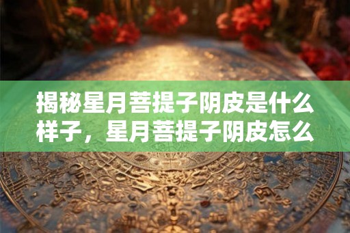 揭秘星月菩提子阴皮是什么样子，星月菩提子阴皮怎么盘