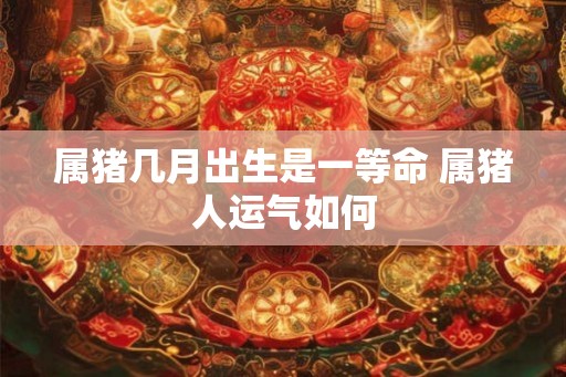属猪几月出生是一等命 属猪人运气如何
