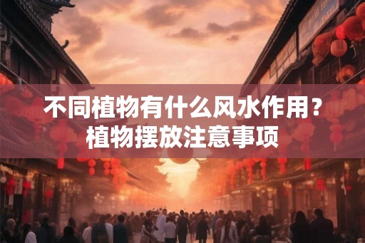 不同植物有什么风水作用？植物摆放注意事项