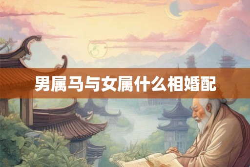 男属马与女属什么相婚配