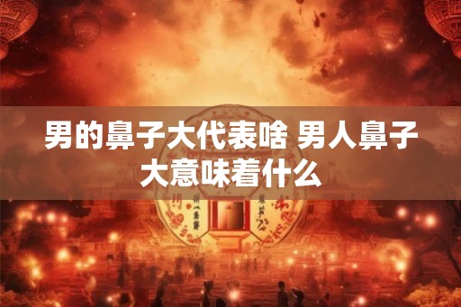男的鼻子大代表啥 男人鼻子大意味着什么