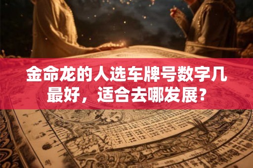 金命龙的人选车牌号数字几最好，适合去哪发展？