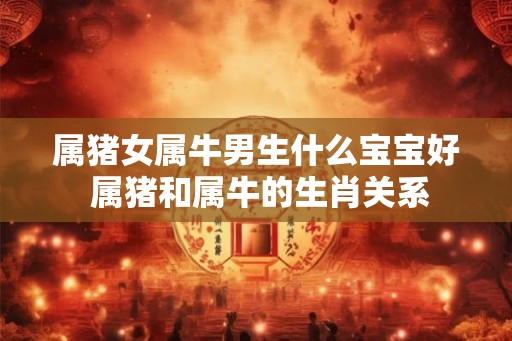 属猪女属牛男生什么宝宝好 属猪和属牛的生肖关系