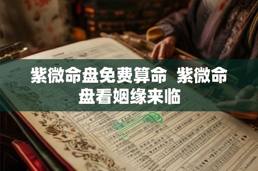 紫微命盘免费算命  紫微命盘看姻缘来临