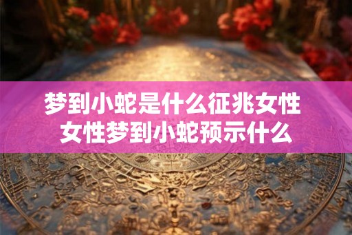 梦到小蛇是什么征兆女性 女性梦到小蛇预示什么 梦到小蛇是什么征兆女性 女性梦到小蛇预示什么