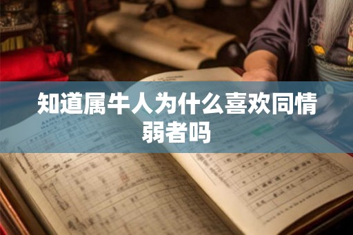 知道属牛人为什么喜欢同情弱者吗