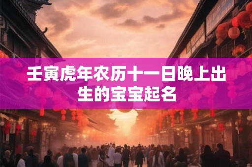 壬寅虎年农历十一日晚上出生的宝宝起名