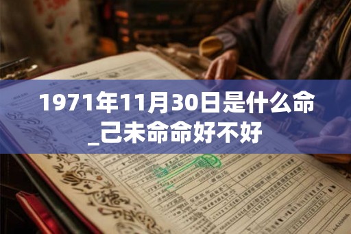 1971年11月30日是什么命_己未命命好不好 1971年11月30日是什么命_己未命命好不好