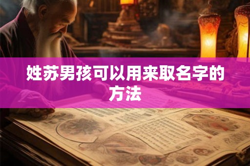 姓苏男孩可以用来取名字的方法