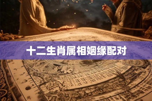 十二生肖属相姻缘配对