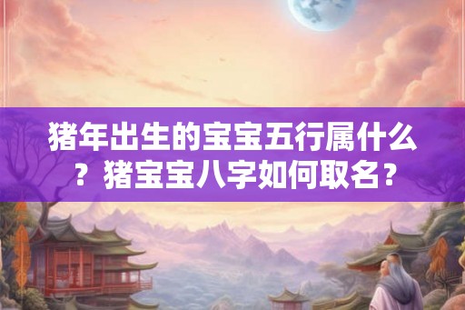 猪年出生的宝宝五行属什么？猪宝宝八字如何取名？