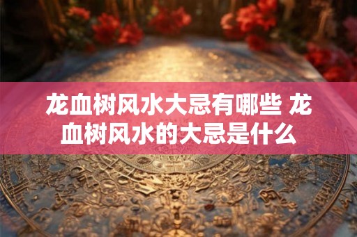 龙血树风水大忌有哪些 龙血树风水的大忌是什么 龙血树风水大忌有哪些 龙血树风水的大忌是什么