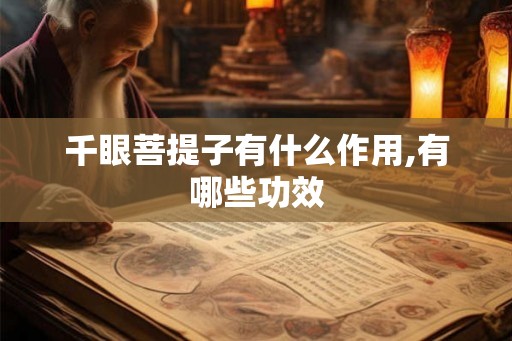 千眼菩提子有什么作用,有哪些功效