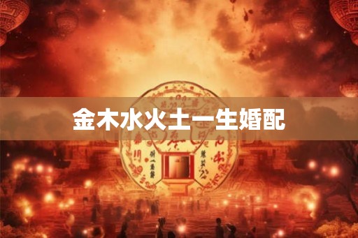 金木水火土一生婚配