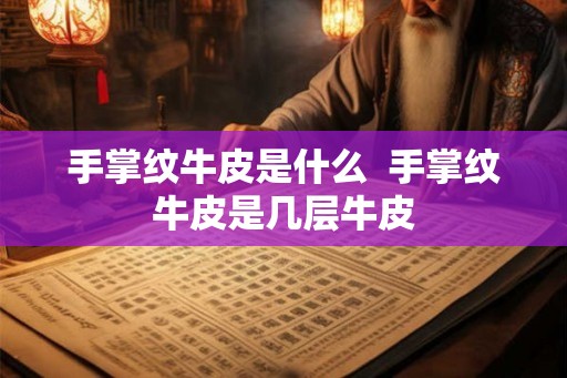 手掌纹牛皮是什么  手掌纹牛皮是几层牛皮