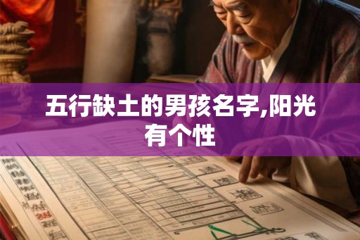 五行缺土的男孩名字,阳光有个性