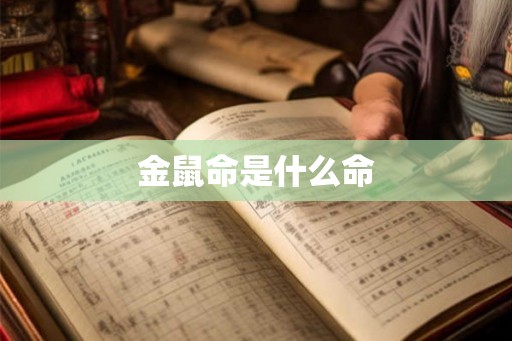 金鼠命是什么命