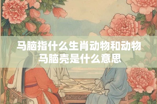 马脑指什么生肖动物和动物 马脑壳是什么意思