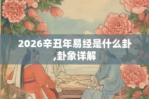 2026辛丑年易经是什么卦,卦象详解