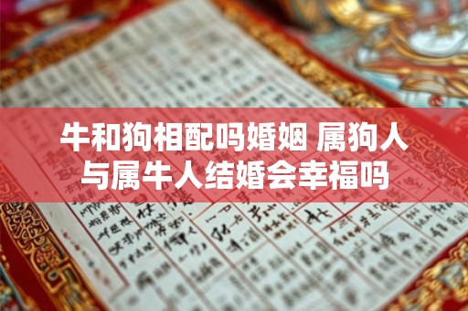 牛和狗相配吗婚姻 属狗人与属牛人结婚会幸福吗