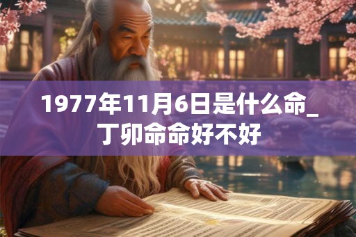 1977年11月6日是什么命_丁卯命命好不好 1977年11月6日是什么命_丁卯命命好不好