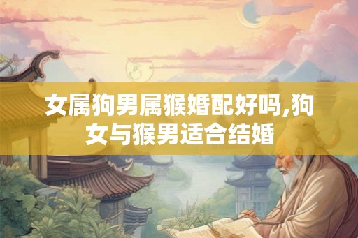 女属狗男属猴婚配好吗,狗女与猴男适合结婚