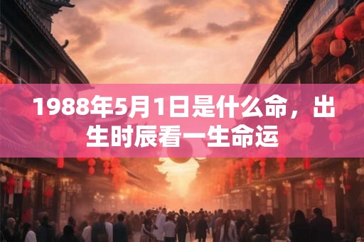 1988年5月1日是什么命，出生时辰看一生命运