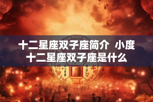 十二星座双子座简介  小度十二星座双子座是什么