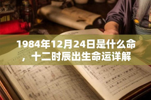 1984年12月24日是什么命，十二时辰出生命运详解